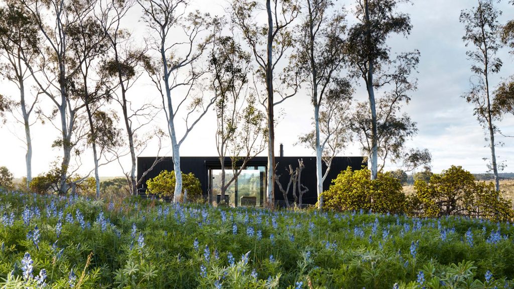 Esca Vineyard Architecture Adelaide